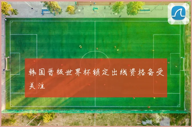 韩国晋级世界杯锁定出线资格备受关注