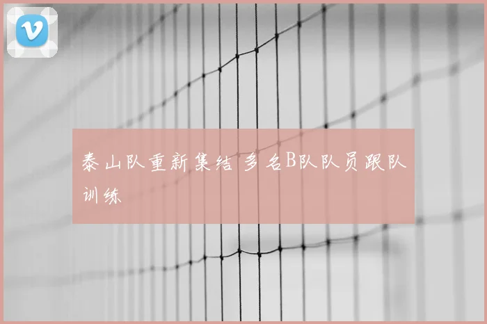 泰山队重新集结 多名B队队员跟队训练